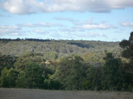 Canyonleigh NSW C Tourism