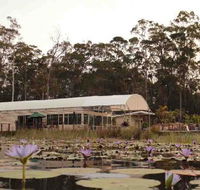 Abundance Cafe and Garden Centre - C Tourism