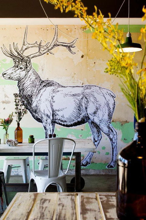 Elk Espresso - C Tourism 0