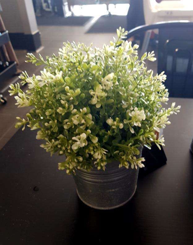 Mount Nasura WA C Tourism