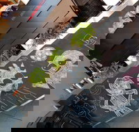 Coffee Plus of Ivanhoe