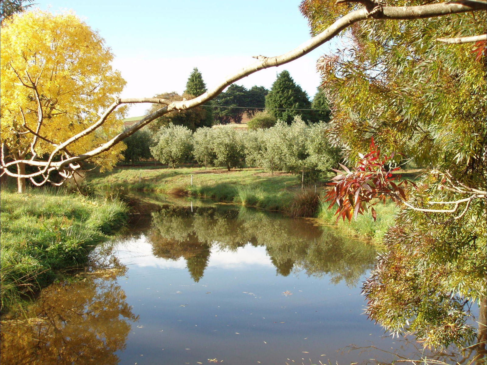 Sprent TAS C Tourism