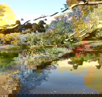 Cradle Coast Olives - C Tourism