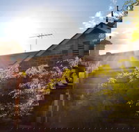 fermentAsian Restaurant - C Tourism