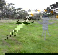 Heard it on the Grapevine - C Tourism