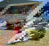 Mini de Lights - C Tourism