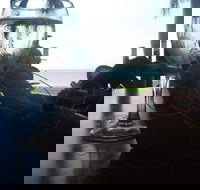 The 3844 - C Tourism