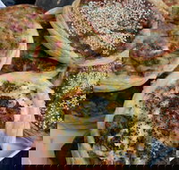 The Re Store Northbridge - C Tourism