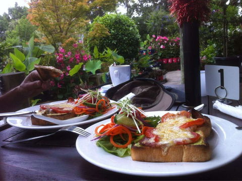 Wyee Nursery Cafe - C Tourism 0