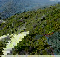 Canopy Cafe - C Tourism