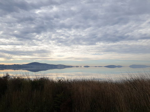 Great Southern Distilling Company - C Tourism 1