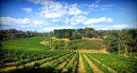 Kellybrook Winery And Kelly Brothers Cider - C Tourism 0