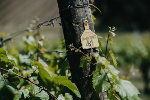 Kellybrook Winery And Kelly Brothers Cider - C Tourism 2