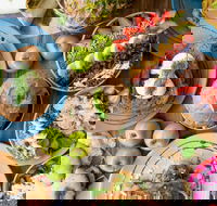 Raw Energy - Sippy Downs - C Tourism