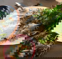 Thien An - C Tourism