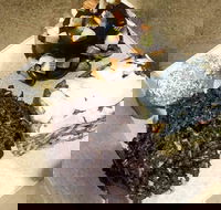 Cocomama's - C Tourism