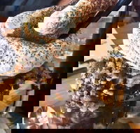 Boxers Burgers - C Tourism