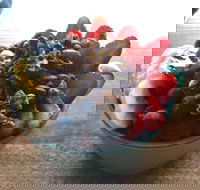 Green Remedy - C Tourism