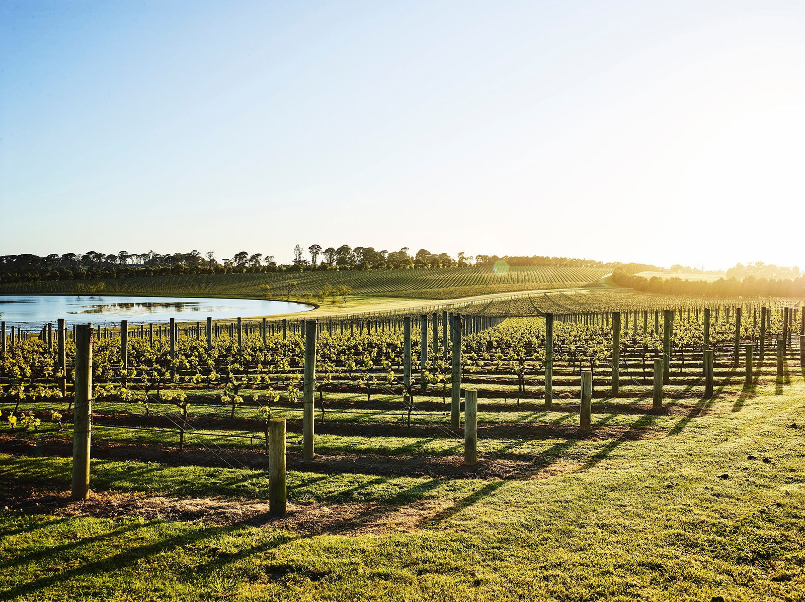 Merricks VIC C Tourism