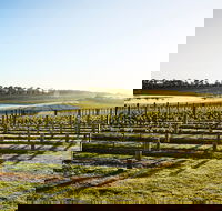 Wine Terrace and Cellar Door at Pt Leo Estate - C Tourism