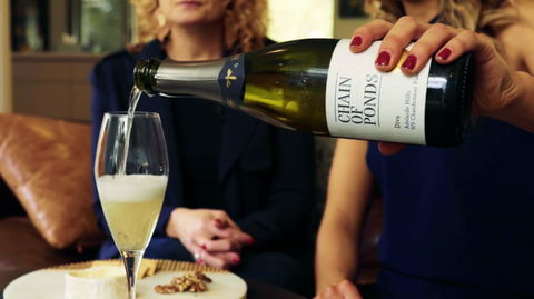 Adelaide Hills-Billies Cheese & Wine Tasting - C Tourism 2