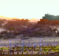 Howling Wolves Wines - C Tourism