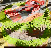 Runaway Cupcakes - C Tourism