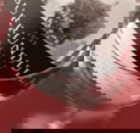 Burrundulla Vineyards - C Tourism