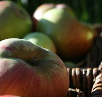 Denmark Heritage Cider Company - C Tourism