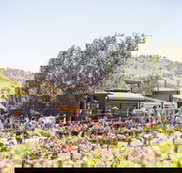 Thistle Hill Wines - C Tourism