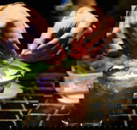 Paulie's Corner - C Tourism