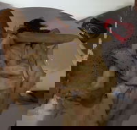 Tandoori Inn - C Tourism