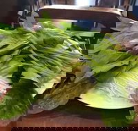 The Cube Hot Pot - C Tourism