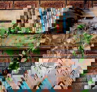 Wilderness Bar - C Tourism