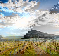 Fallen Giants Vineyard - C Tourism