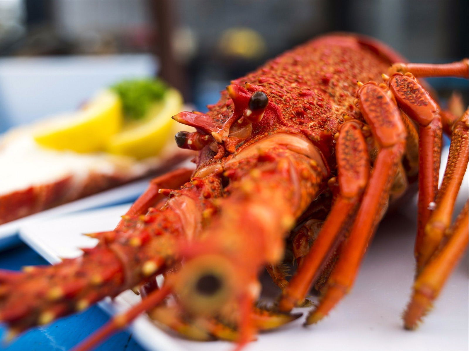 Coles Bay TAS C Tourism