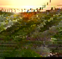 Bennetts on Bellarine Winery - C Tourism