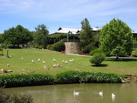 Geoff Merrill Wines - C Tourism 1