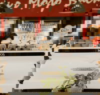 MOJOs in the Marketplace - C Tourism