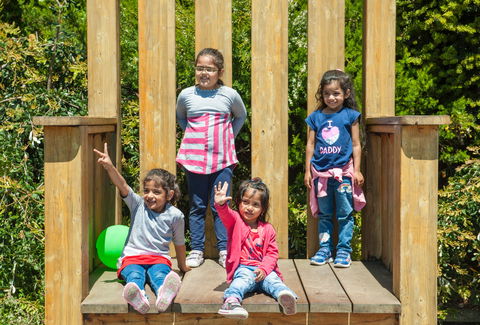 SkyHigh Mount Dandenong And Scenic Lookout - C Tourism 2
