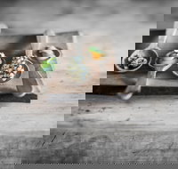 The Currant Shed - C Tourism