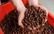 Zokoko Chocolate And Espresso Cafe - thumb 0