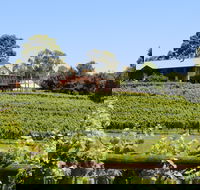 djinta djinta Winery - C Tourism