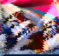 Donut King - Taylors Lakes - C Tourism