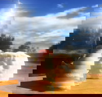 Fork it Farm - C Tourism