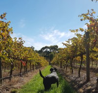 Ruddenklau Wines - C Tourism