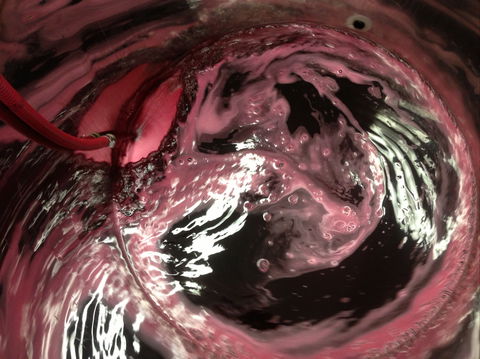 Badger Creek Blueberry Winery - C Tourism 2