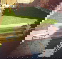 Butcher128 - C Tourism