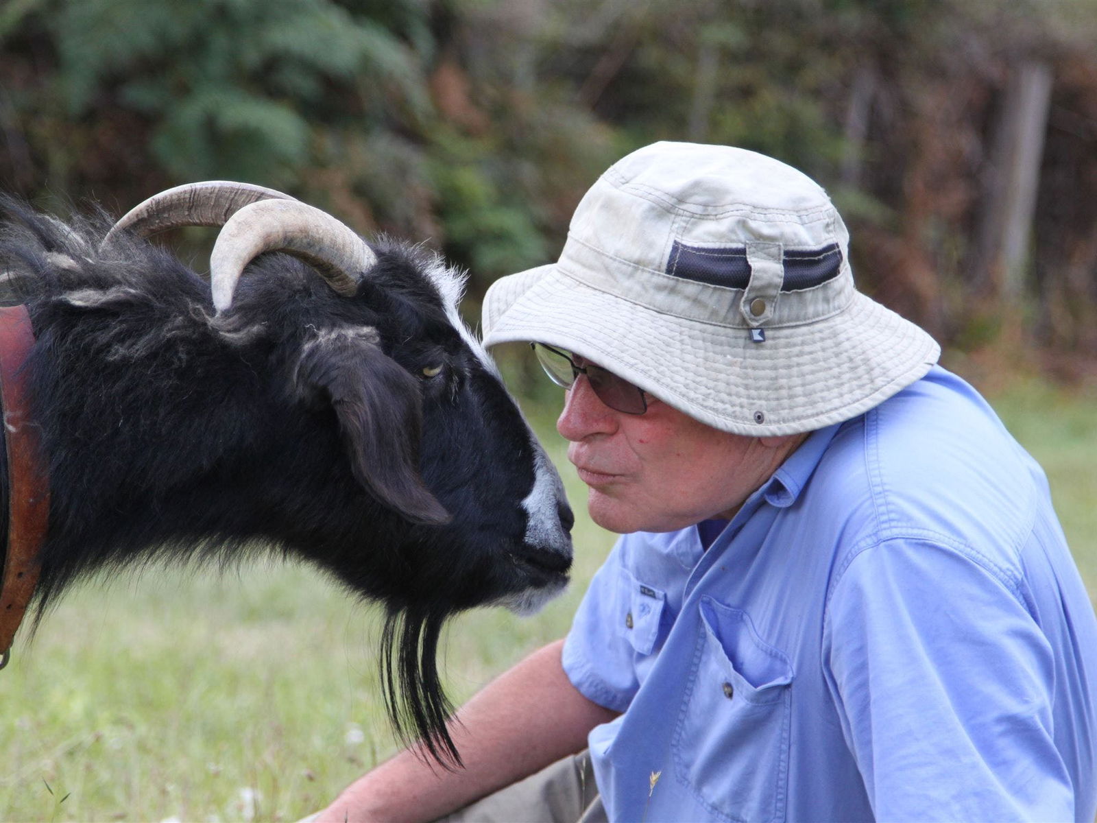 Karoola TAS C Tourism