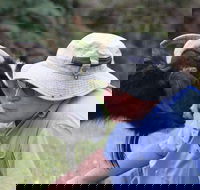 Providence Vineyards - C Tourism